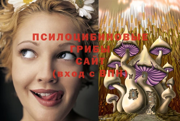 герыч Аркадак