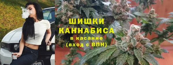 apvp Арсеньев