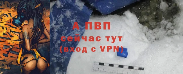 apvp Арсеньев
