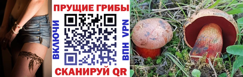 кракен зеркало  Углегорск  Галлюциногенные грибы MAGIC MUSHROOMS 